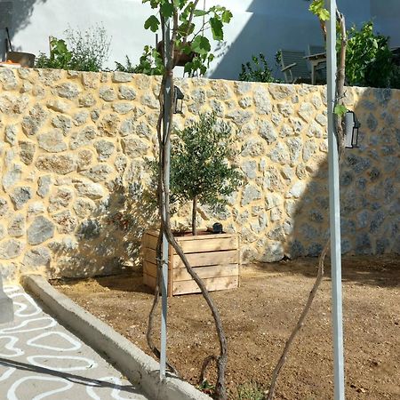 Rustic Private Cottage W/ King Bed In Galanado Naxos Exteriér fotografie